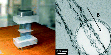 Graphical abstract: Magnetic microreactors for efficient and reliable magnetic nanoparticle surface functionalization