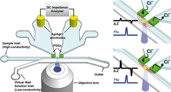 Graphical abstract: A flow cytometry-based submicron-sized bacterial detection system using a movable virtual wall