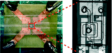 Graphical abstract: A multi-scale PDMS fabrication strategy to bridge the size mismatch between integrated circuits and microfluidics