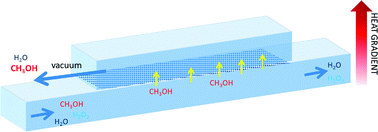 Graphical abstract: Hydrogen peroxide concentration by pervaporation of a ternary liquid solution in microfluidics