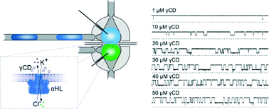 Graphical abstract: A droplet microfluidic system for sequential generation of lipid bilayers and transmembrane electrical recordings