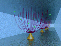 Graphical abstract: Capturing molecules with plasmonic nanotips in microfluidic channels by dielectrophoresis