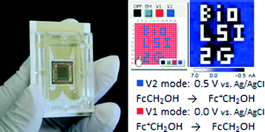 Graphical abstract: Advanced LSI-based amperometric sensor array with light-shielding structure for effective removal of photocurrent and mode selectable function for individual operation of 400 electrodes
