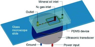 Graphical abstract: Acoustofluidic control of bubble size in microfluidic flow-focusing configuration
