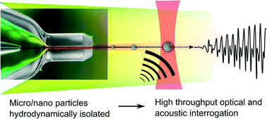 Graphical abstract: Microfluidic system for high throughput characterisation of echogenic particles