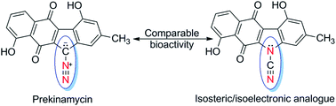 Graphical abstract: Prekinamycin and an isosteric-isoelectronic analogue exhibit comparable cytotoxicity towards K562 human leukemia cells