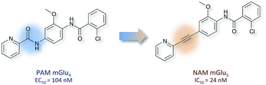 Graphical abstract: A double effect molecular switch leads to a novel potent negative allosteric modulator of metabotropic glutamate receptor 5