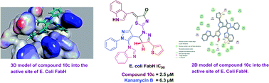 Graphical abstract: Design, synthesis and molecular docking of novel bipyrazolyl thiazolone scaffold as a new class of antibacterial agents