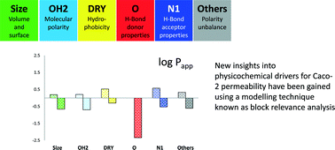 Graphical abstract: Relating Caco-2 permeability to molecular properties using block relevance analysis