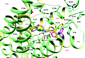 Graphical abstract: Enantiomeric resolution of [(2,2-diphenyl-1,3-dioxolan-4-yl)methyl](2-phenoxyethyl)amine, a potent α1 and 5-HT1A receptor ligand: an in vitro and computational study
