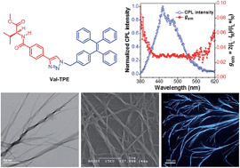 Graphical abstract: l-Valine methyl ester-containing tetraphenylethene: aggregation-induced emission, aggregation-induced circular dichroism, circularly polarized luminescence, and helical self-assembly