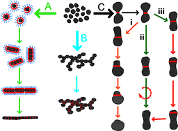 Graphical abstract: Cold welding: a phenomenon for spontaneous self-healing and shape genesis at the nanoscale