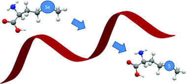 Graphical abstract: Quantification of pharmaceutical peptides using selenium as an elemental detection label