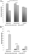 Graphical abstract: Copper overload and deficiency both adversely affect the central nervous system of Drosophila