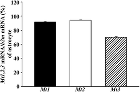 Graphical abstract: The role of metallothionein-3 in streptozotocin-induced beta-islet cell death and diabetes in mice