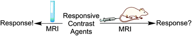 Graphical abstract: Overcoming the concentration-dependence of responsive probes for magnetic resonance imaging