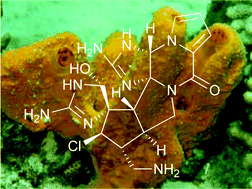 Graphical abstract: Marine chemical ecology in benthic environments