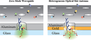 Graphical abstract: Single-molecule detection and radiation control in solutions at high concentrations via a heterogeneous optical slot antenna
