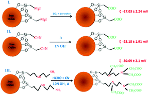 Graphical abstract: New surface radiolabeling schemes of super paramagnetic iron oxide nanoparticles (SPIONs) for biodistribution studies
