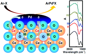 Graphical abstract: Insights into the effects of surface properties of oxides on the catalytic activity of Pd for C–C coupling reactions