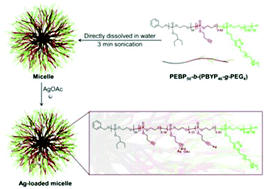 Graphical abstract: Degradable polyphosphoester-based silver-loaded nanoparticles as therapeutics for bacterial lung infections