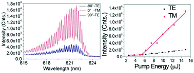 Graphical abstract: Observation of polarized gain from aligned colloidal nanorods