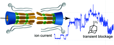 Graphical abstract: Cyclodextrin ion channels