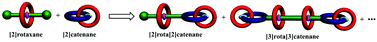 Graphical abstract: Construction of rotacatenanes using rotaxane and catenane frameworks