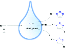 Graphical abstract: Water-soluble NHC-Cu catalysts: applications in click chemistry, bioconjugation and mechanistic analysis