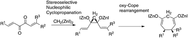 Graphical abstract: Preparation of cycloheptane ring by nucleophilic cyclopropanation of 1,2-diketones with bis(iodozincio)methane