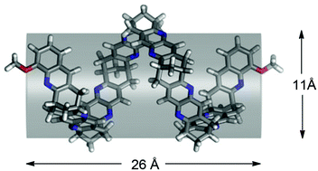 Graphical abstract: A short designed semi-aromatic organic nanotube – synthesis, chiroptical characterization, and host properties