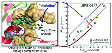 Graphical abstract: A QSAR study on the inhibition mechanism of matrix metalloproteinase-12 by arylsulfone analogs based on molecular orbital calculations