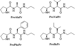 Graphical abstract: Structural insight into the aggregation of l-prolyl dipeptides and its effect on organocatalytic performance
