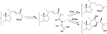 Graphical abstract: Formation of the steroidal C-25 chiral center via the asymmetric alkylation methodology