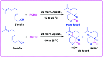 Graphical abstract: A novel Prins cascade process for the stereoselective synthesis of oxa-bicycles