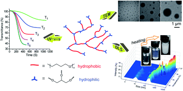 Graphical abstract: Phase transition dynamics and mechanism for backbone-thermoresponsive hyperbranched polyethers