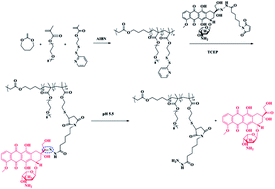 Graphical abstract: Functional 2-methylene-1,3-dioxepane terpolymer: a versatile platform to construct biodegradable polymeric prodrugs for intracellular drug delivery