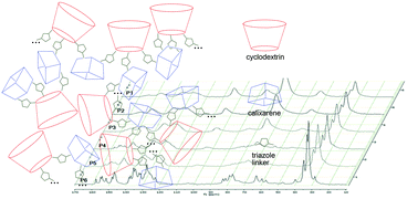 Graphical abstract: Cyclodextrin–calixarene co-polymers as a new class of nanosponges