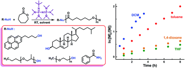 Graphical abstract: Phosphazene-catalyzed ring-opening polymerization of ε-caprolactone: influence of solvents and initiators