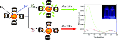 Graphical abstract: β-Cyclodextrin functionalized Mn-doped ZnS quantum dots for the chiral sensing of tryptophan enantiomers