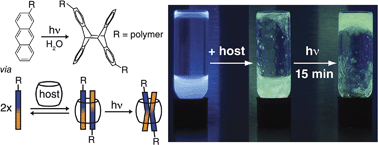Graphical abstract: Host–guest accelerated photodimerisation of anthracene-labeled macromolecules in water