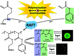 Graphical abstract: Combining the incompatible: Block copolymers consecutively displaying activated esters and amines and their use as protein-repellent surface modifiers with multivalent biorecognition