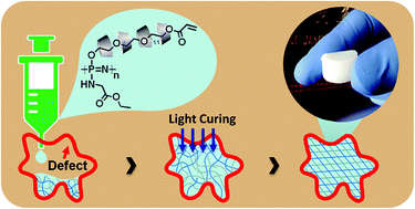 Graphical abstract: Injectable and cross-linkable polyphosphazene hydrogels for space-filling scaffolds