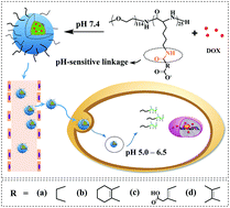 Graphical abstract: Polyion complex micelles with gradient pH-sensitivity for adjustable intracellular drug delivery