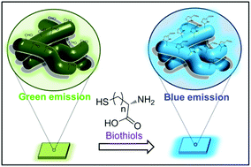 Graphical abstract: Synthesis of triphenylamine-containing conjugated polyelectrolyte and fabrication of fluorescence color-changeable, paper-based sensor strips for biothiol detection