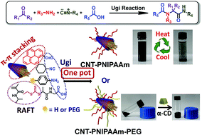 Graphical abstract: The power of one-pot: a hexa-component system containing π–π stacking, Ugi reaction and RAFT polymerization for simple polymer conjugation on carbon nanotubes