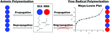 Graphical abstract: Pulsed-laser and quantum mechanics study of n-butyl cyanoacrylate and methyl methacrylate free-radical copolymerization