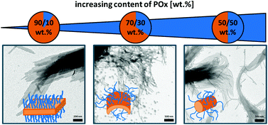 Graphical abstract: Synthesis and self-assembly of poly(ferrocenyldimethylsilane)-block-poly(2-alkyl-2-oxazoline) block copolymers