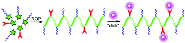 Graphical abstract: Non-ionic water-soluble “clickable” α-helical polypeptides: synthesis, characterization and side chain modification