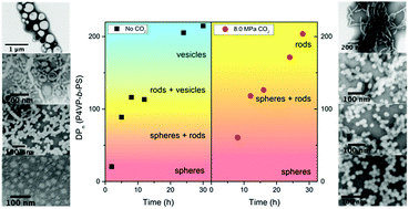 Graphical abstract: Polymerization induced self-assembly: tuning of nano-object morphology by use of CO2